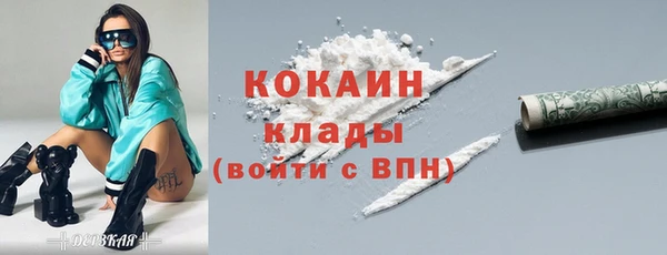 винт Богданович