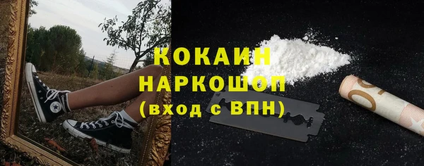 ALPHA PVP Богородицк