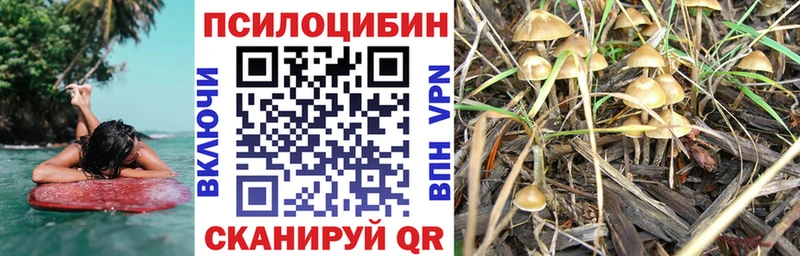 где найти наркотики  Дигора  Псилоцибиновые грибы ЛСД 